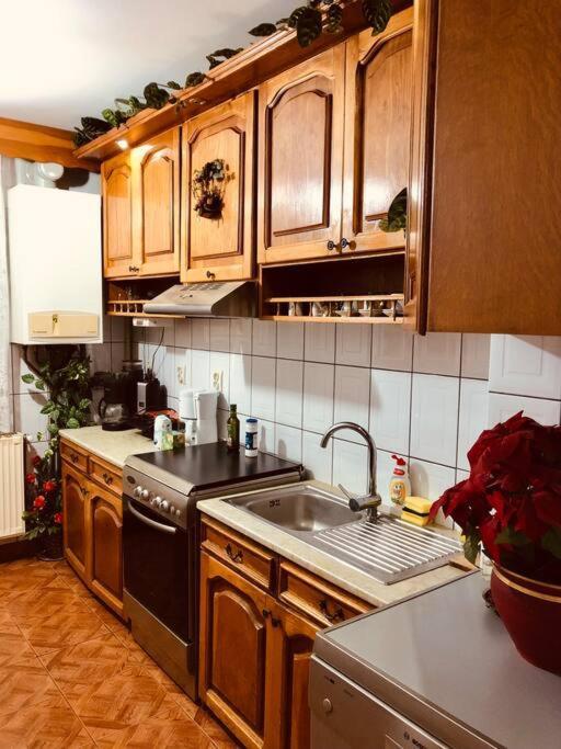 Joy City Stay Ferkel 7 Timişoara Exterior foto