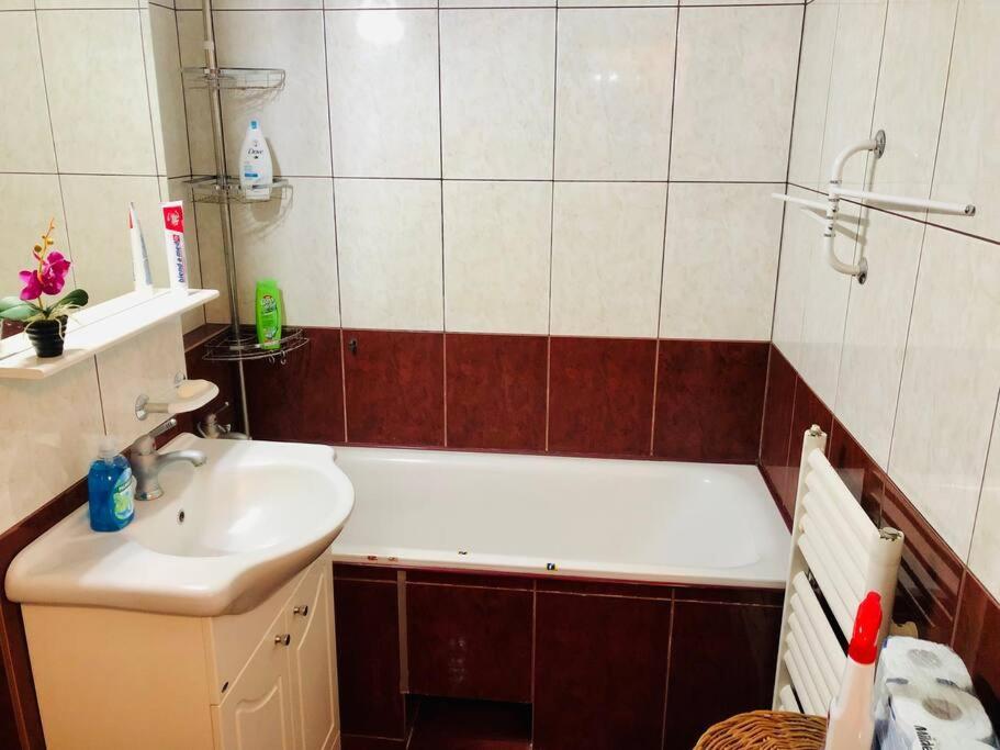 Joy City Stay Ferkel 7 Timişoara Exterior foto