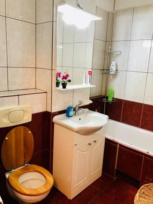 Joy City Stay Ferkel 7 Timişoara Exterior foto