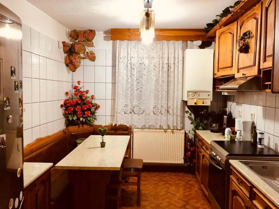 Joy City Stay Ferkel 7 Timişoara Exterior foto